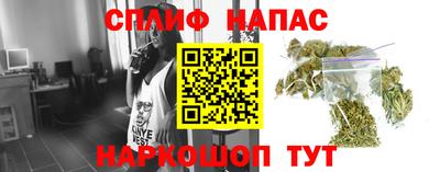 крисы Краснознаменск