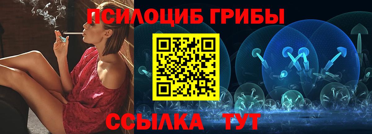 Киров  Псилоцибиновые грибы Psilocybe  Вход с VPN 